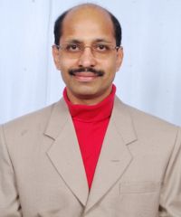 Vishnu S. Pendyala.jpg