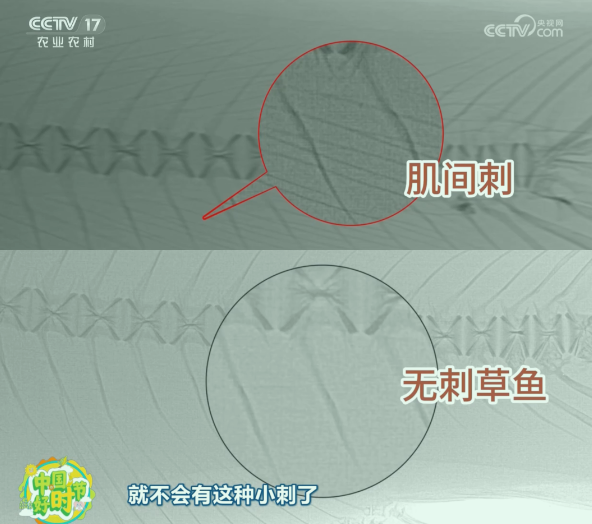 3a0d324ccbd87cf37690b676ce81455d.png