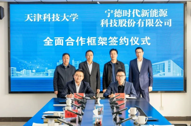 1772357492409046902.png image.png