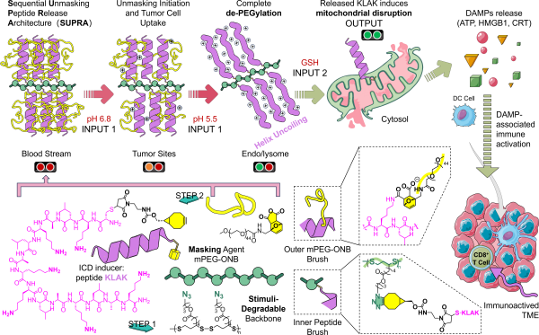W020261008533237638817.png